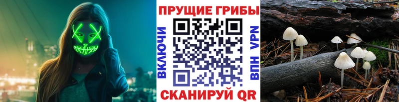 где купить наркотик  МЕГА зеркало  Псилоцибиновые грибы Psilocybe  Полярный 
